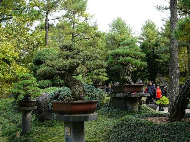 P1210437.JPG