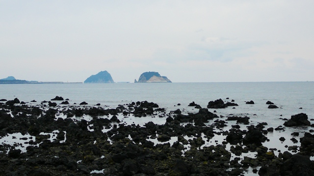 P1210568.JPG