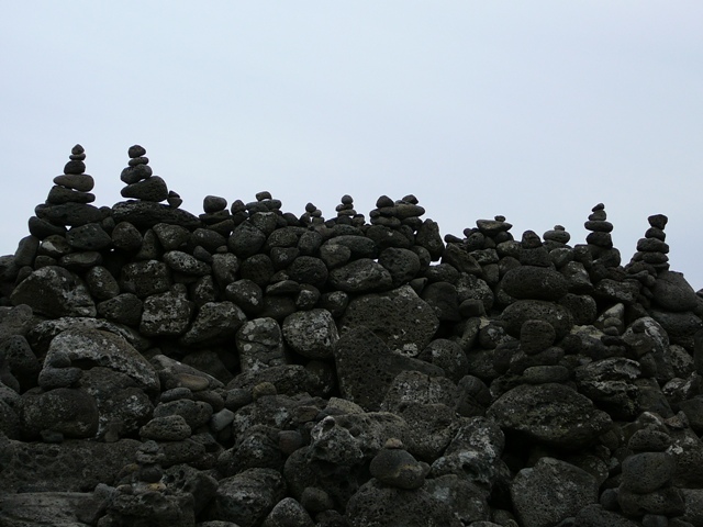 P1210584.JPG