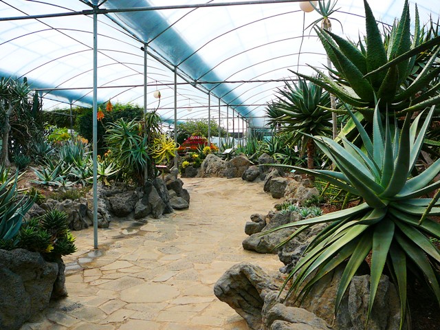 P1210629.JPG
