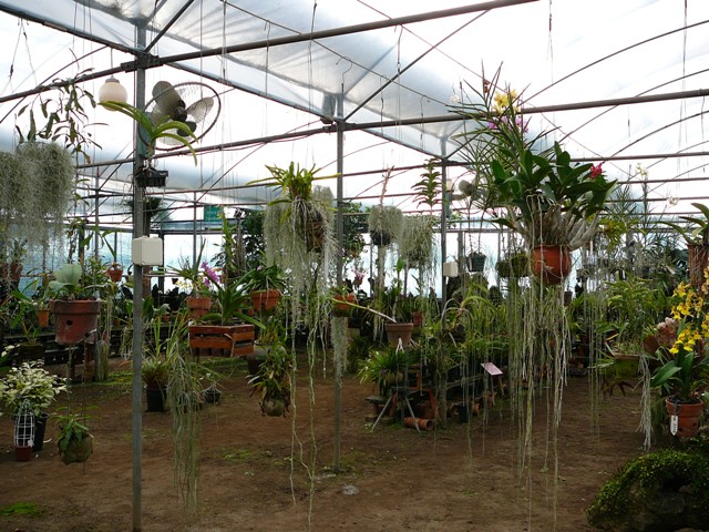 P1210640.JPG