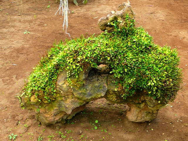 P1210641.JPG
