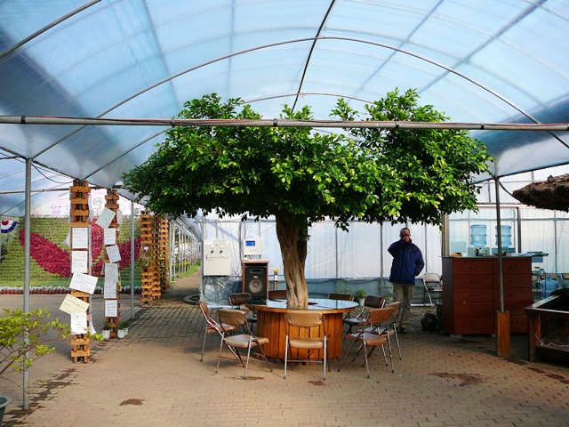 P1210677.JPG