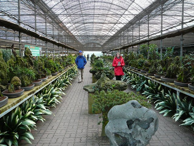 P1210710.JPG