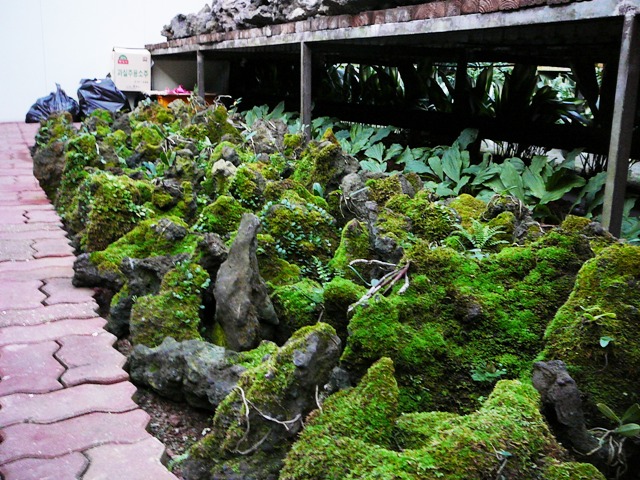 P1210719.JPG
