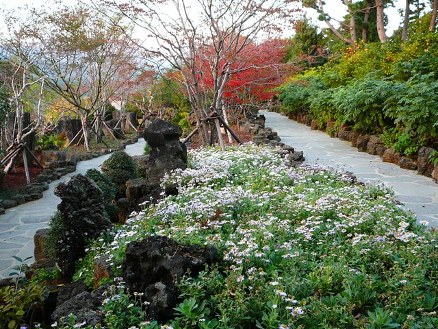 P1210770.JPG