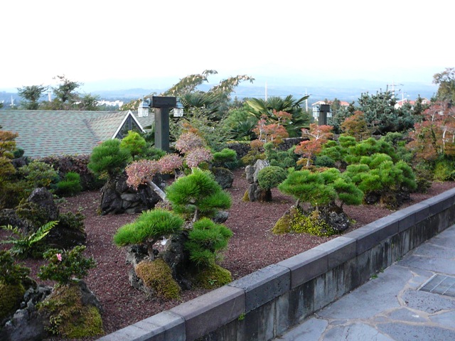 P1210815.JPG