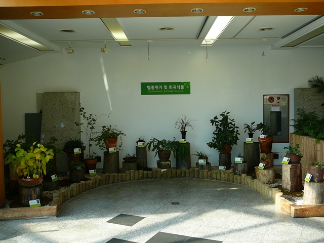 P1210848.JPG