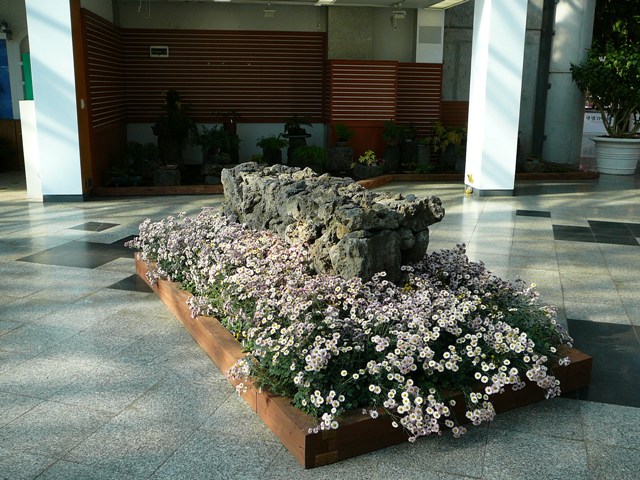 P1210855.JPG