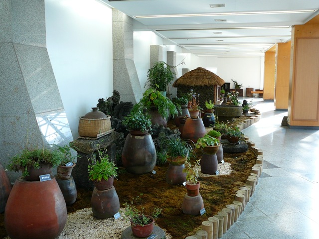 P1210856.JPG