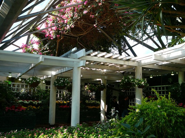 P1210916.JPG