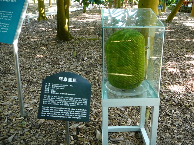P1210948.JPG