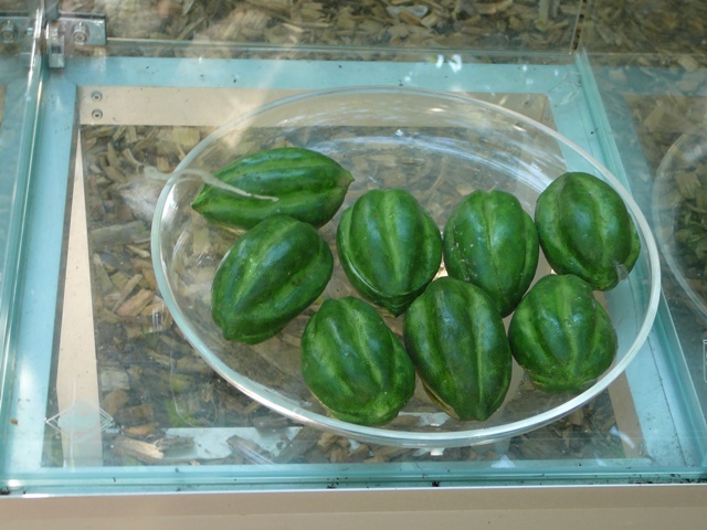 P1210951.JPG