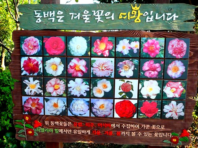 P1220095.JPG