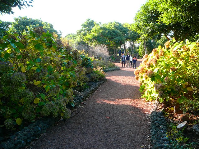 P1220100.JPG