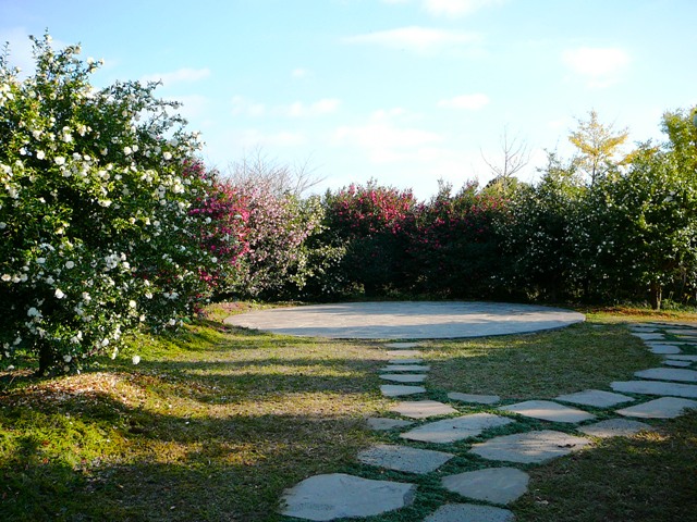 P1220117.JPG