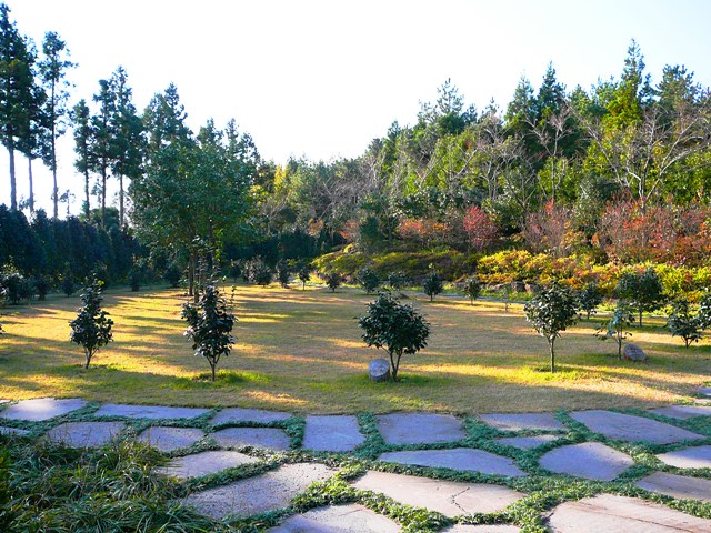 P1220120.JPG
