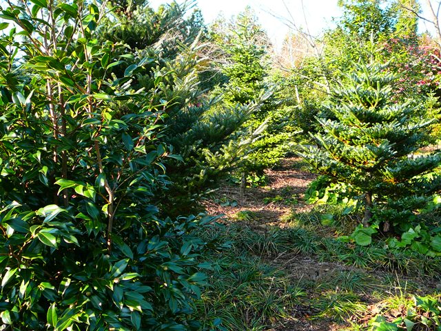 P1220121.JPG