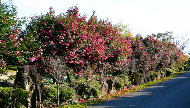 P1220126.JPG