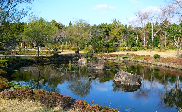 P1220135.JPG