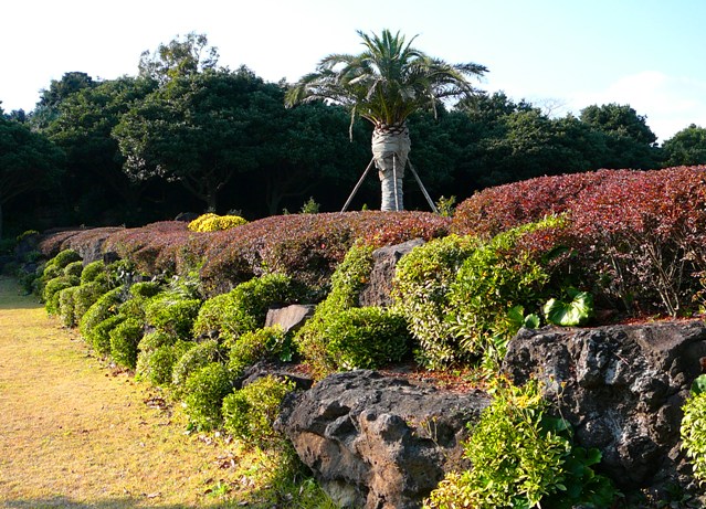P1220149.JPG