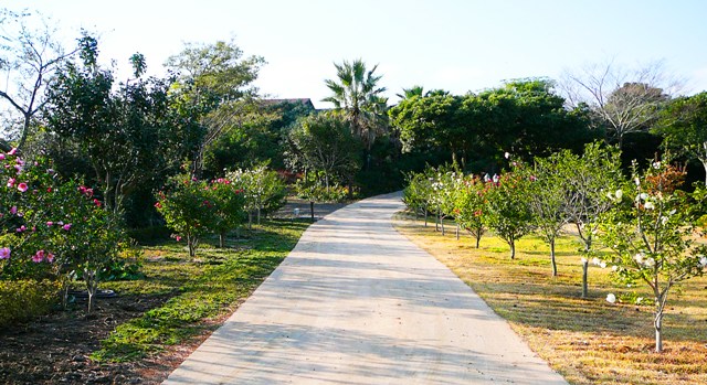 P1220157.JPG