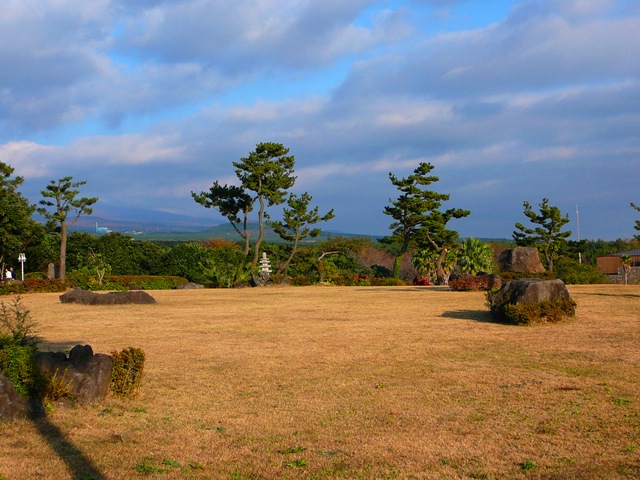 P1220194.JPG