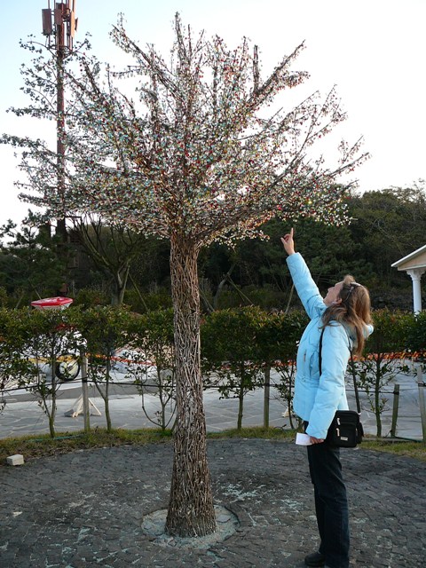 P1220242.JPG