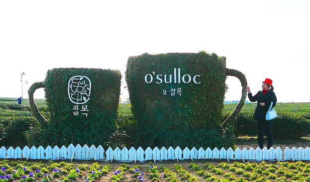 P1220348.JPG