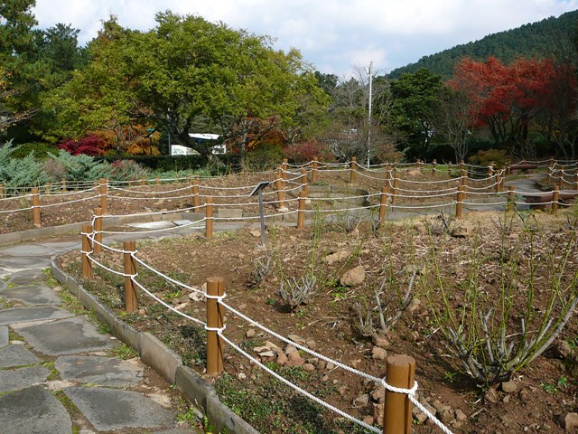 P1220358.JPG