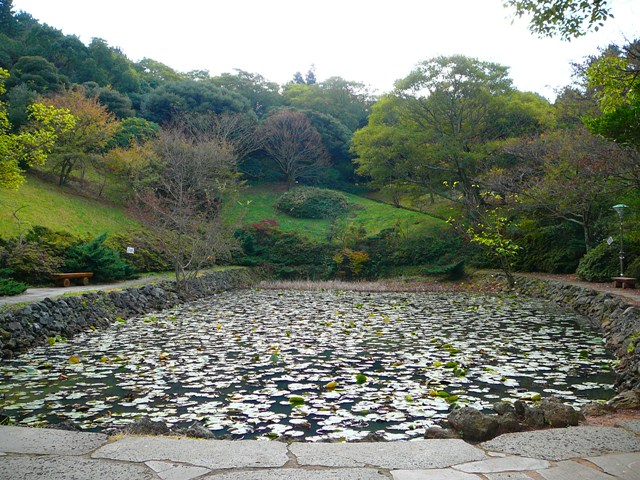 P1220366.JPG
