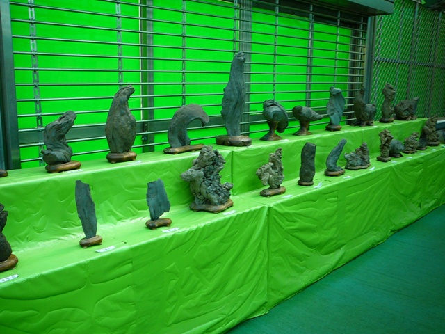 P1220374.JPG