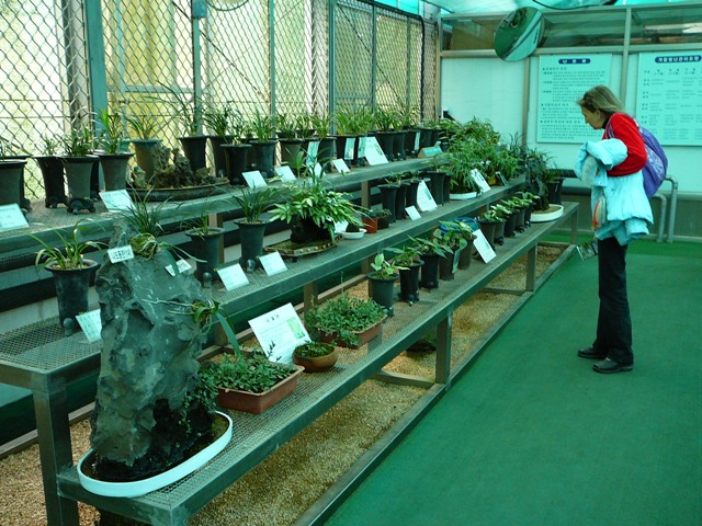 P1220377.JPG