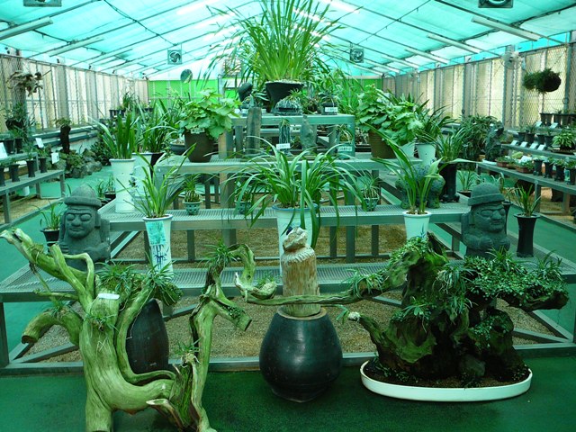 P1220379.JPG