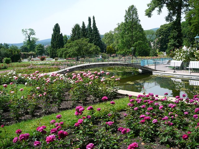 P1280215.JPG