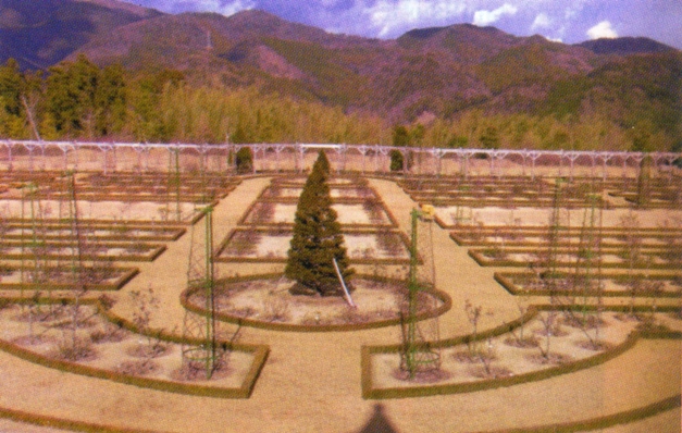 Scan0001_0.jpg