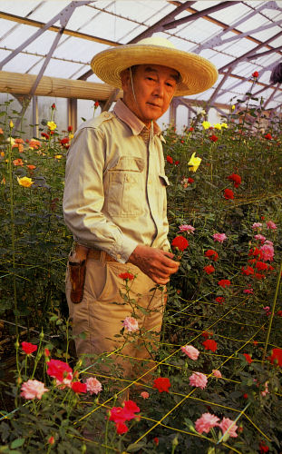 Seizo_Suzuki_007.jpg