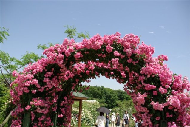 Seizo_Suzuki_0091.jpg