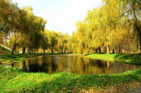 Smela_park.jpg