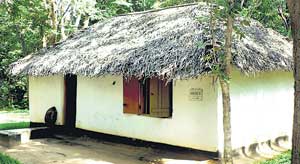 The-mud-cottage.jpg