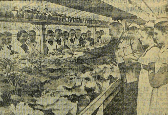 alexinsky_1954.jpg