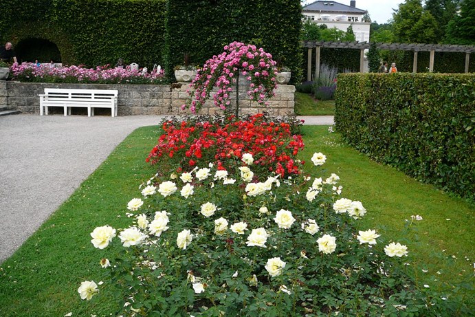 baden_0011.jpg