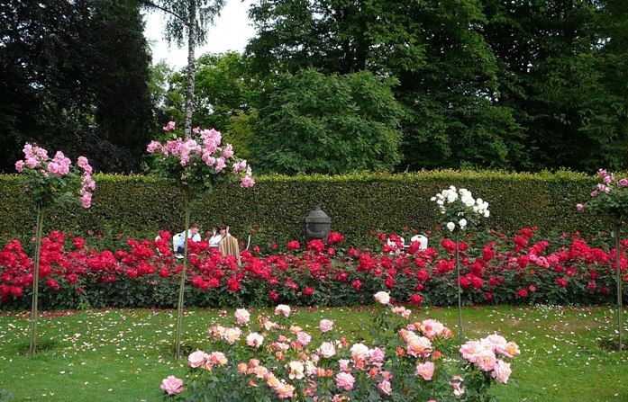 baden_007.jpg