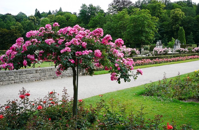baden_009.jpg