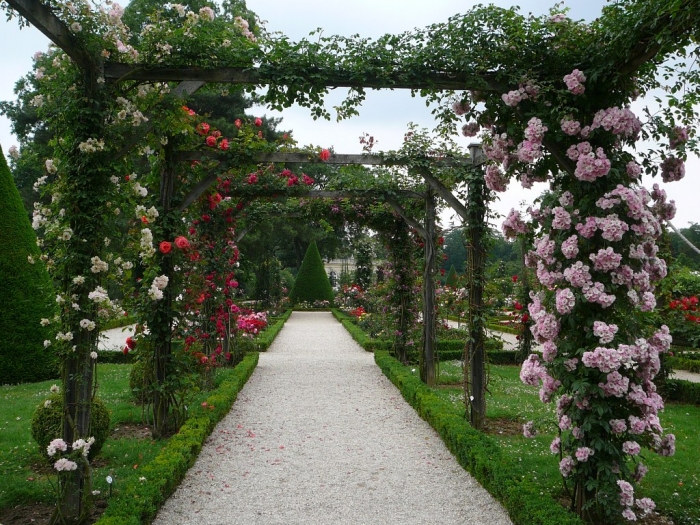 bagatelle_1002.jpg
