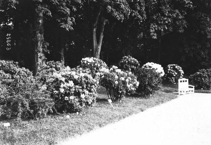 bagatelle_1913_005.jpg
