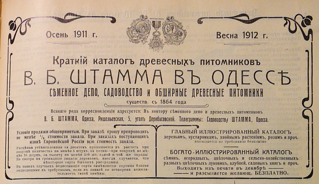 catalogue_roses_stamm_001.jpg