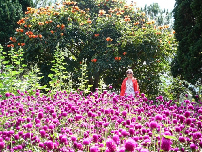 dalat_001_0.jpg