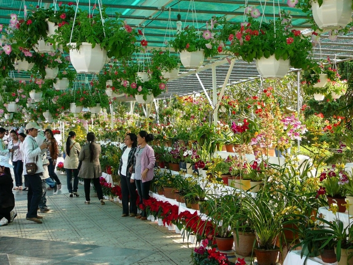 dalat_002.jpg