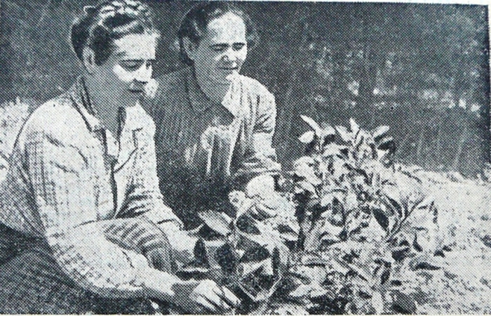 domozhilova_o.m._sleva.jpg